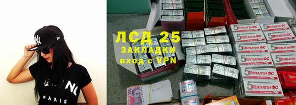 шишки Заволжск